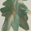 Rorschach Forrest Diptych Painting by Orfeo Quagliata