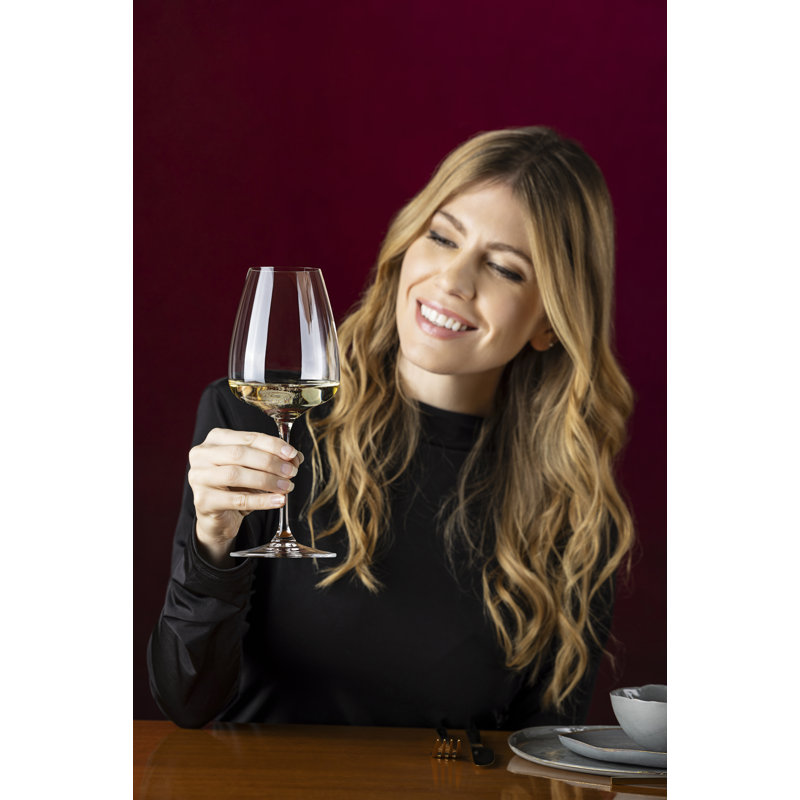 RIEDEL GRAPE@RIEDEL White Wine/Champagne/Spritz Glass