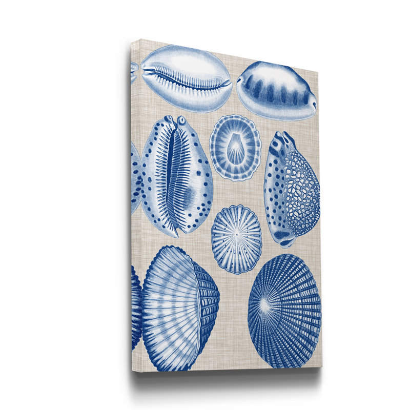 " Shells I ", 27" H x 18" W x 1" D