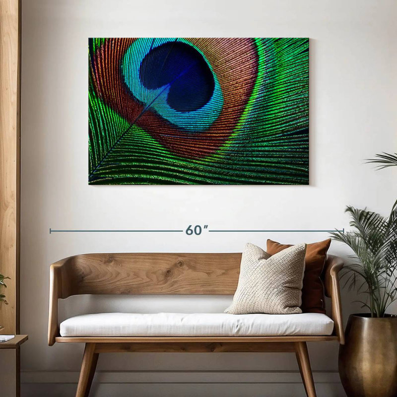 Fine Peacock Feather, 30" H x 45" W