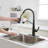 VIBRANTBATH Pull Down Kitchen Faucet-98155088