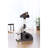 Carmeline 37.25'' H Cat Tree