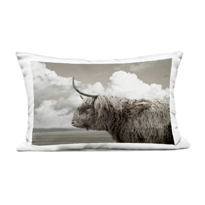 Longhorn Cattle & Clouds View Outdoor Printed Pillow design by CAD Designs