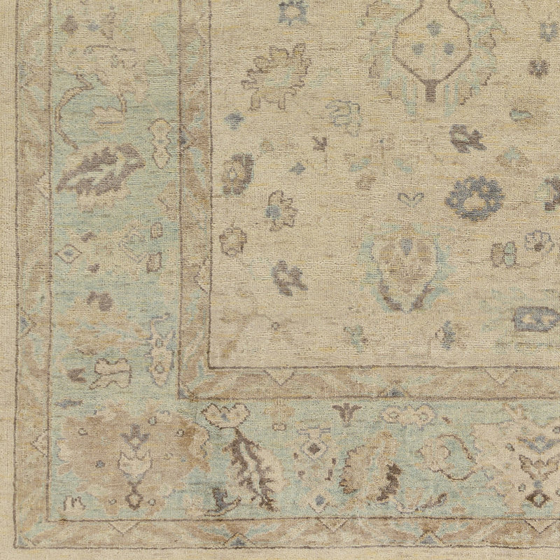Daucourt Wool Oriental Area Rug, Rectangle 9' x 13'