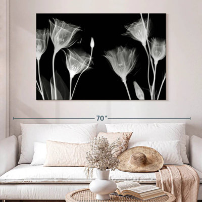 Harnek BW Gentian