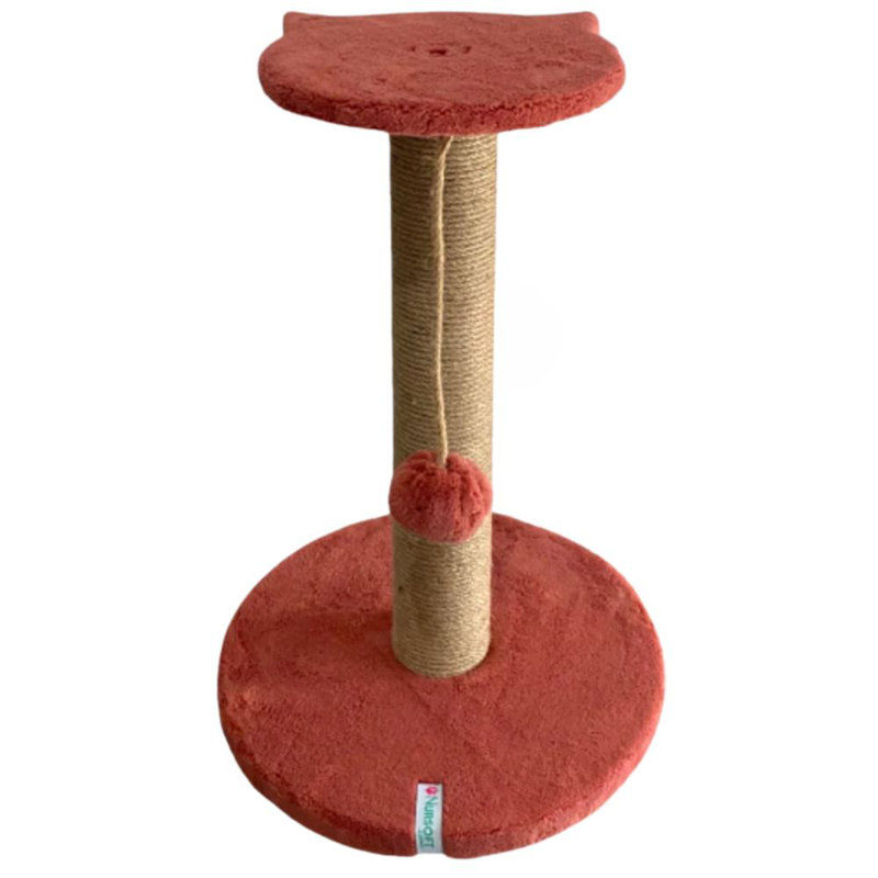 Grattoir pour chat, Corail