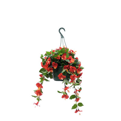 Arrangement floral d'hibiscus dans un panier