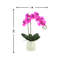 Arrangement floral orchidée phalaenopsis en pot-859372034