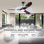 Ceiling Fan with LED Lights-1185624558-1192076299
