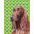 Setter irlandais (brun) sélectionné