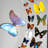 18 Genuine Butterflies In Black Display Frame