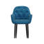 Bierman 48cm H Tufted Velvet Upholstered Armchair-335884170-335884171