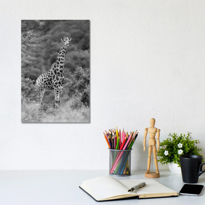 Stately Giraffe by Anders Jorulf - Wrapped Canvas Print