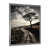 Silver Single Picture Framed