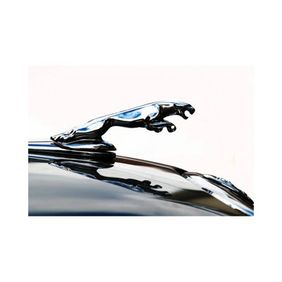 Jaguar Hood Ornament 1 Piece Wrapped Canvas Wall Art
