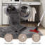 Solid Colour Flatweave Area Rug-1462463922