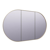 Recessed Framed 2 of Doors Medicine Cabinet with Adjustable Shelves