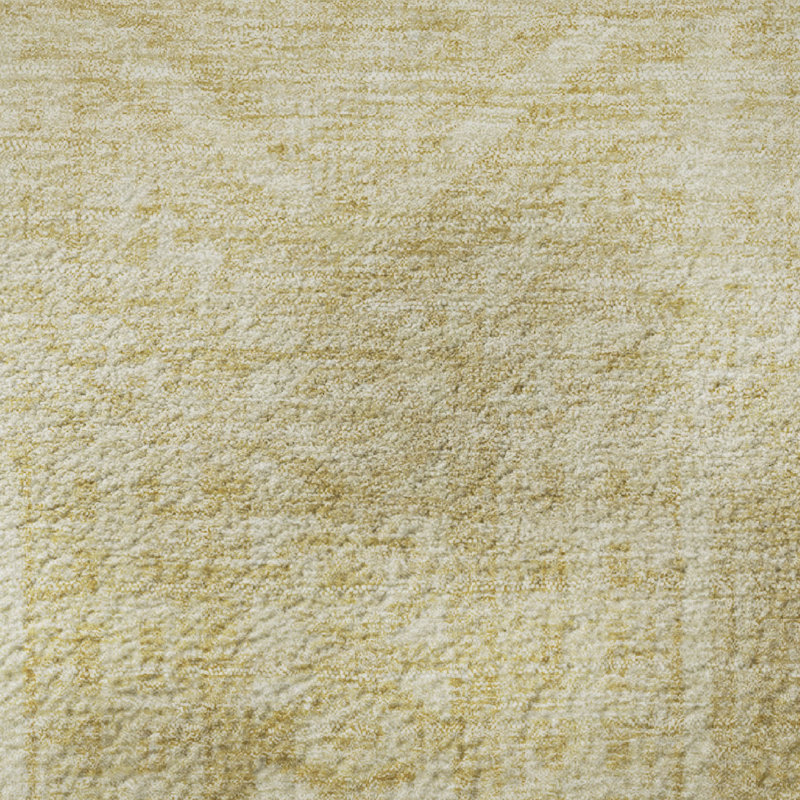 Premium Machine Washable Ashlynn Border Rug, Rectangle 10' x 14'