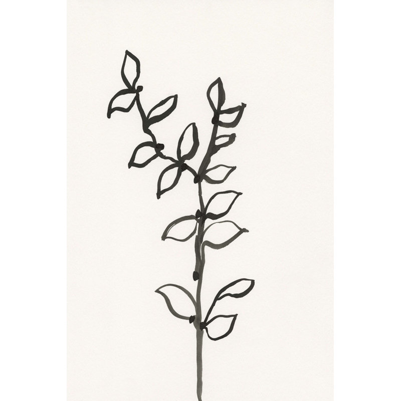 Encre, croquis botanique X, H 18 po x l 12 po x P 1,25 po