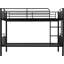 Domenica Single Bunk Bed-20695934