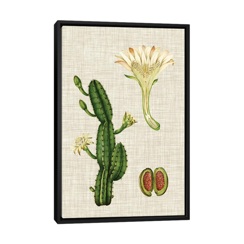 «Elegant Tropicals III», impression sur toile tendue, H 26 po x l 18 po x P 1,5 po, Toile avec cadre noir, Pas de tapis