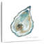 Brampt Pacific Oyster-109204591