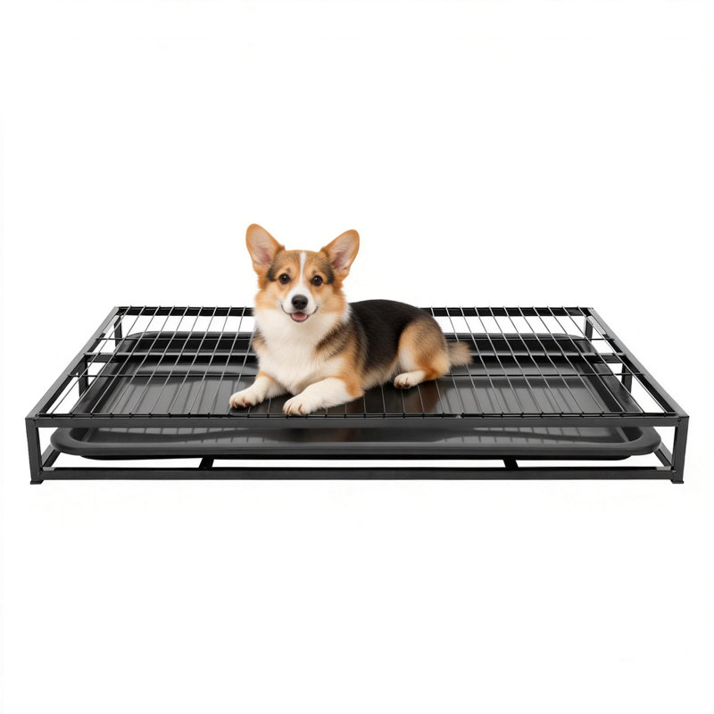 Dog Training Toilet With Pull-Out Tray