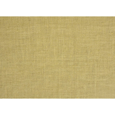Studio Moss