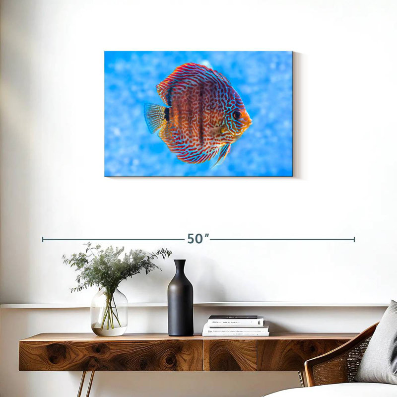 Brampt Freshwater Discus Fish, 20" H x 30" W
