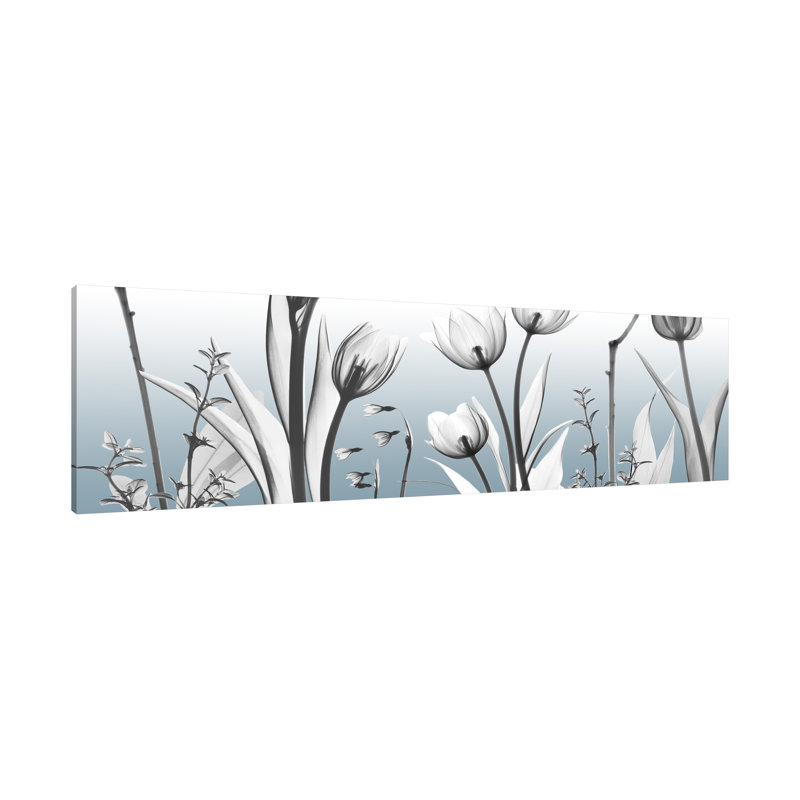 Heavenly Botanicals - Wrapped Canvas Panoramic Print, 51cm H x 152cm W