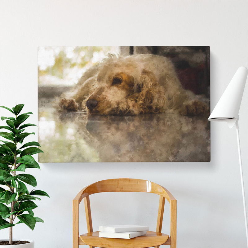 Cocker Spaniel Dog - Wrapped Canvas, 35cm H x 50cm W x 3cm D