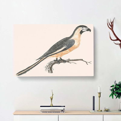 Parrot by Johan Teyler - Wrapped Canvas