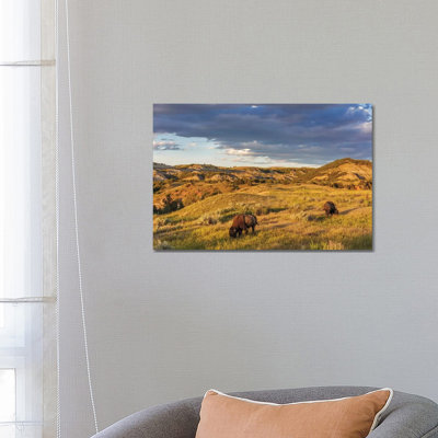 " Bison Grazing In Badlands In Theodore Roosevelt National Park, North Dakota, USA " by Chuck Haney