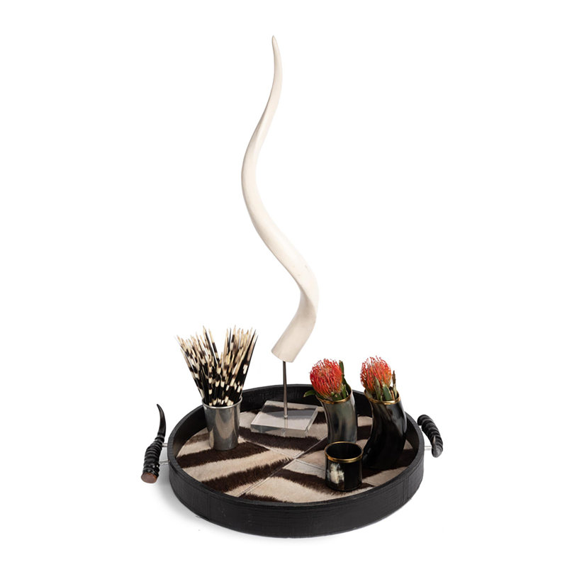 Polished Kudu Inner Horn on Acrylic Display Base