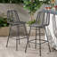 Tabourets de bar d'extérieur en osier Sawtelle (ensemble de 2)-1281914809