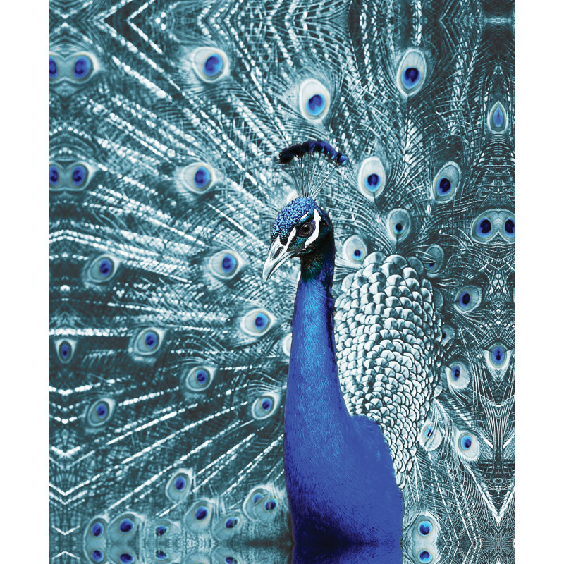 Bluey Peacock - Painting Print, Wrapped Canvas, 76cm H x 51cm W