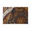 Manchuria Wool Oriental Area Rug