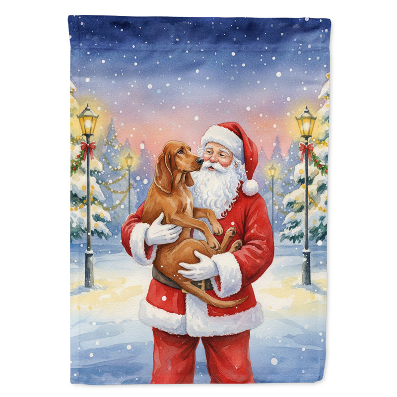 Redbone Coonhound avec le drapeau de la maison du Père Noël, Taille de la maison, Redbone Coonhound