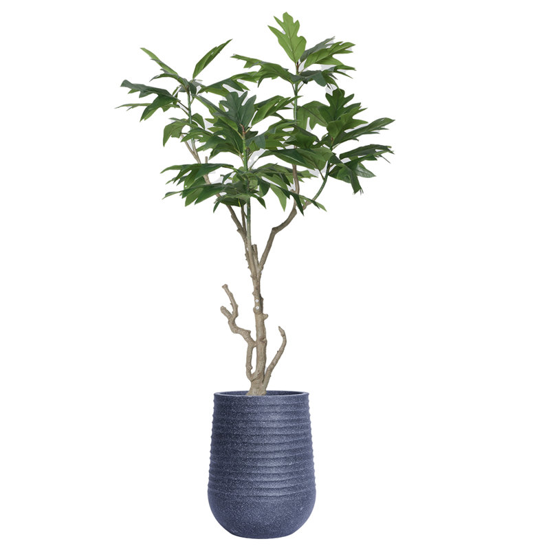 82.08'' Faux Fiddle Tree Tree in Pot, Gray