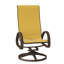 Aruba 1 Outdoor Dining Armchair-48935166-19510410