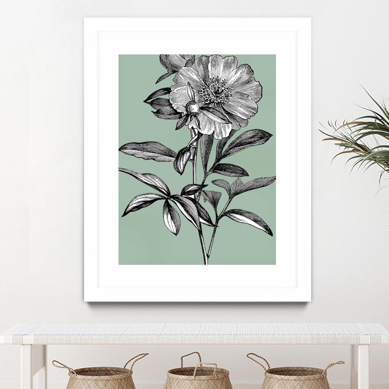 Vintage Botanical Black and White Flower Art Print on Canvas