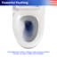 Toilette une pièce Rainlex RX-T29W