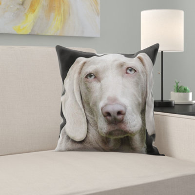 Coussin pour chien