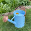 Metal Watering Can-75050061