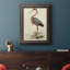 Toile encadrée de qualité supérieure antique Heron II - prête à être accrochée-394945644