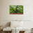 Harnek Lush Oak Tree-107687612