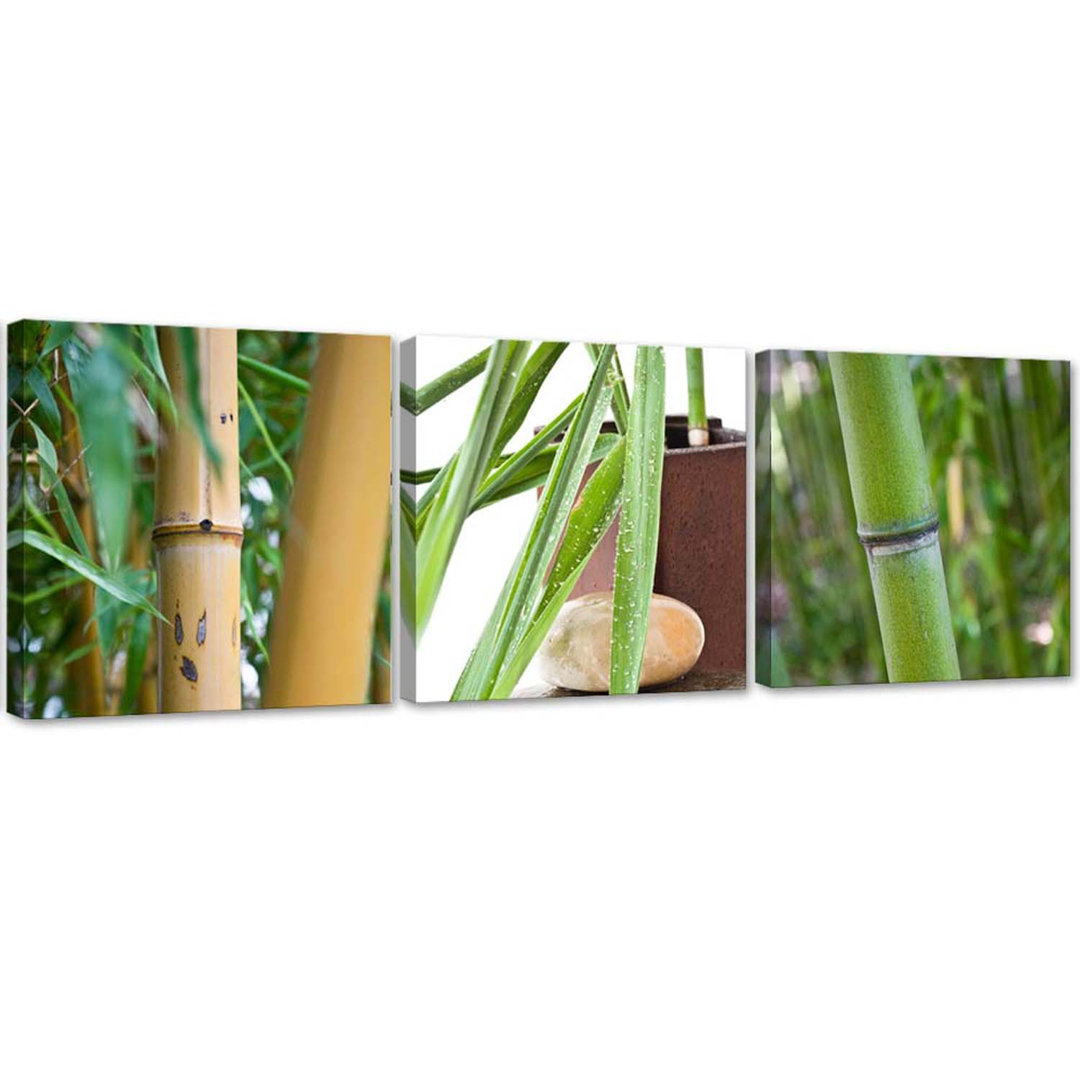 Leinwandbild Bamboo Zen Spa