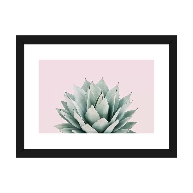 «Agave» par Sissi et Seb - impression d'art graphique, H 16 po x l 24 po x P 1 po, Blanc, Papier encadré noir