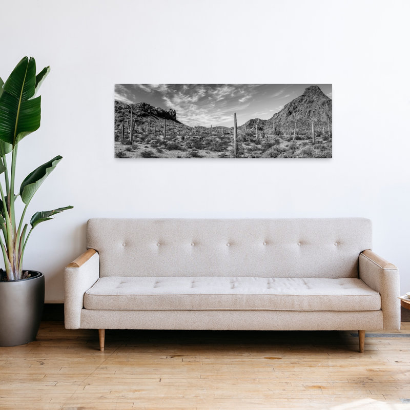 Various cactus plants in a desert Organ Pipe Cactus National Monument Arizona USA 1 Piece Wrapped Canvas Panoramic Wall Art