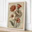Studies Botanical - Wrapped Canvas-1482331849-1482331855